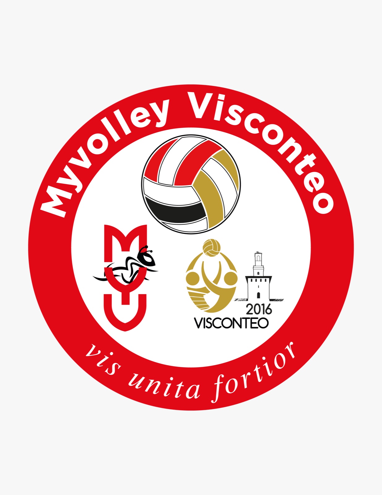 myvolley visconteo